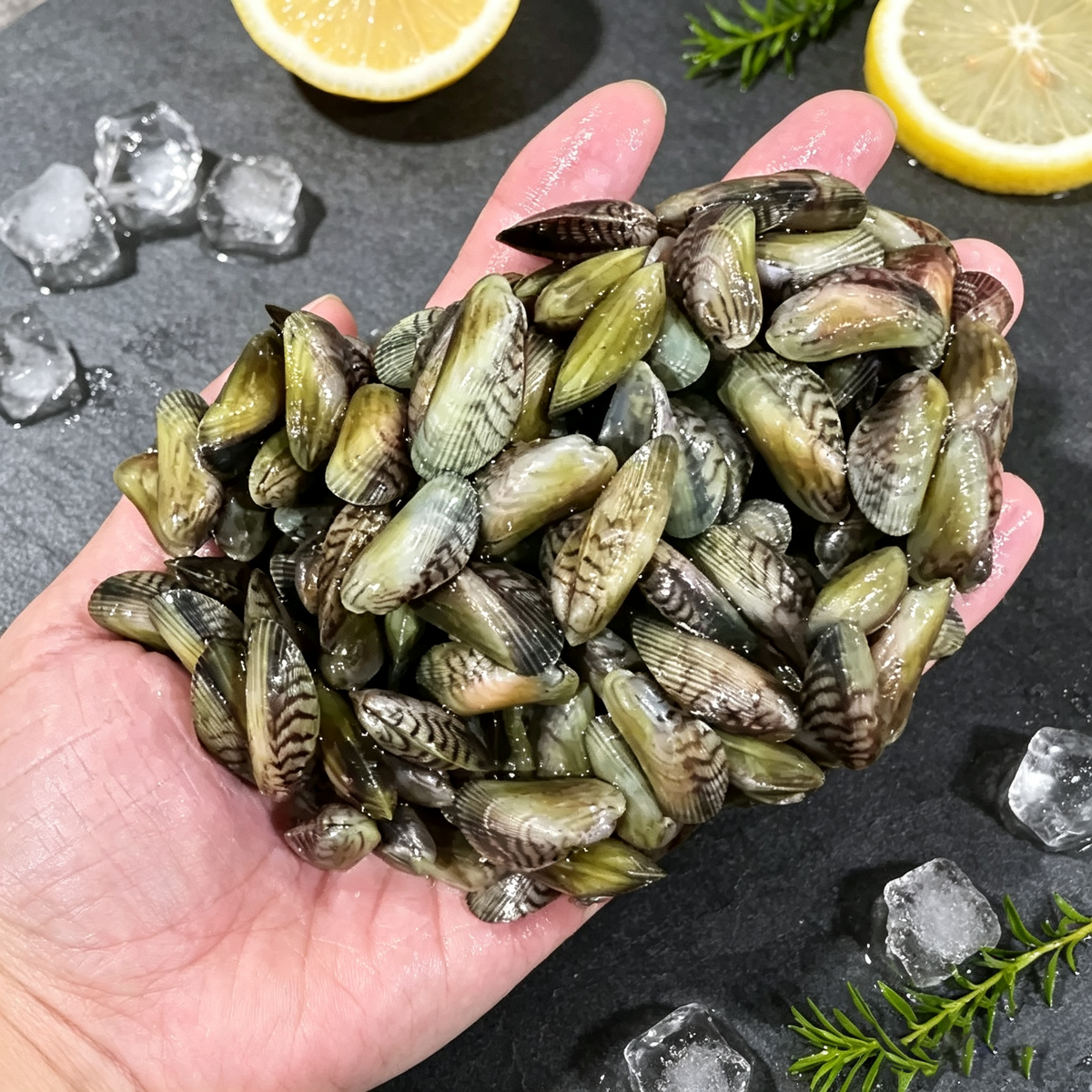 Green-lipped Mussels