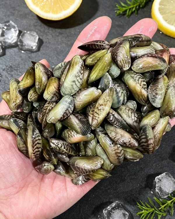 Green-lipped Mussels