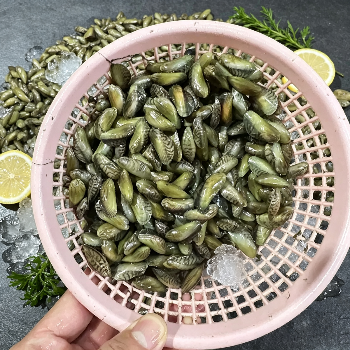 Green-lipped Mussels