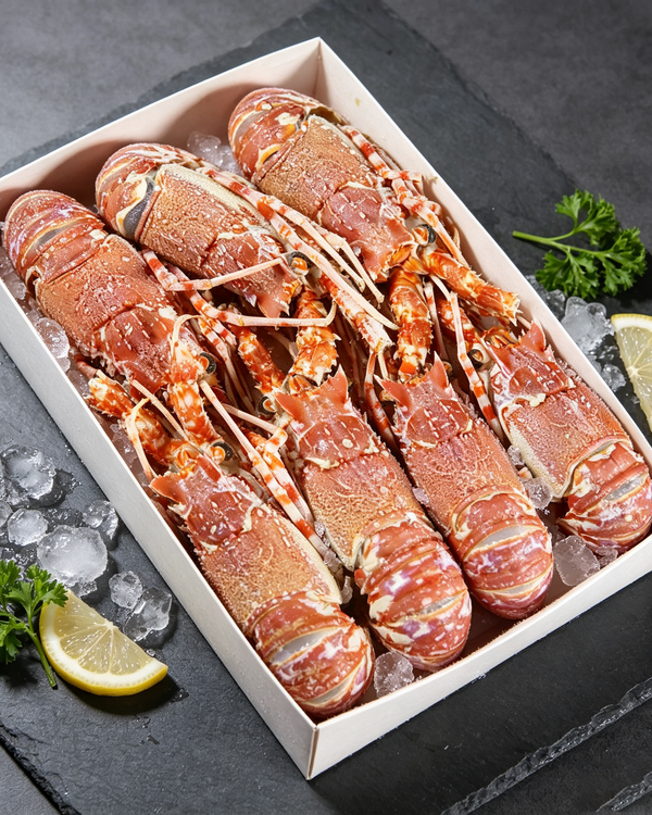 Whole Lobster
